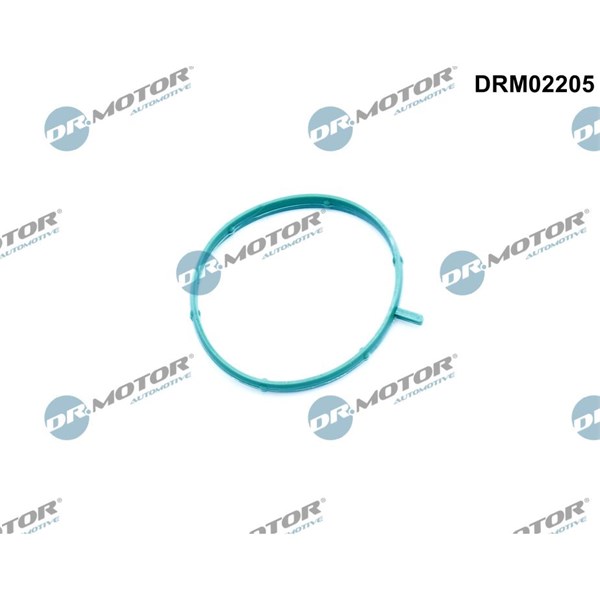 Packning, termostathus Dr.motor automotive DRM02205 Dr.Motor Automotive