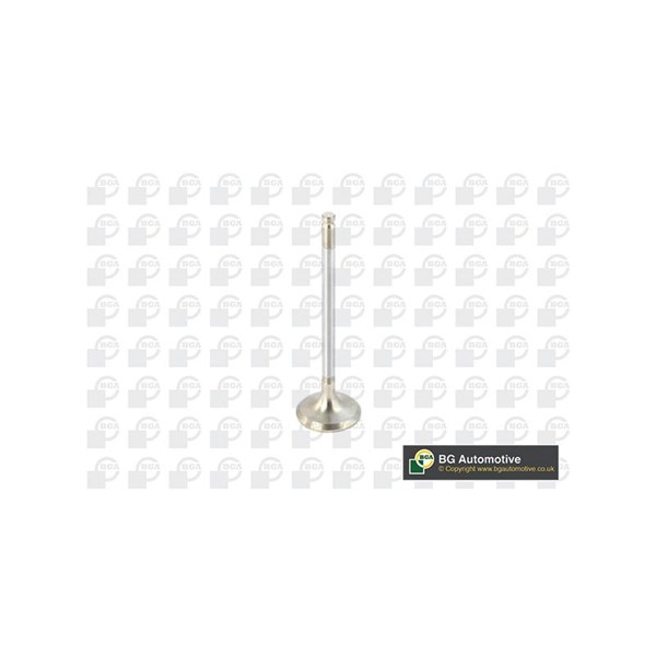 Avgasventil Bga V820011 BGA