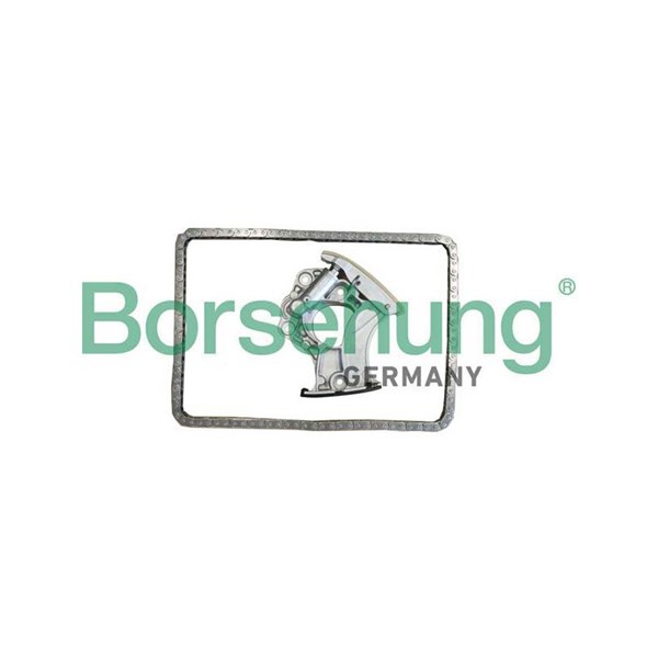 Kamkedjesats Borsehung B10245 Borsehung