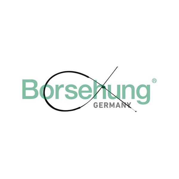 Vajer, motorhuv Borsehung B10782 Borsehung