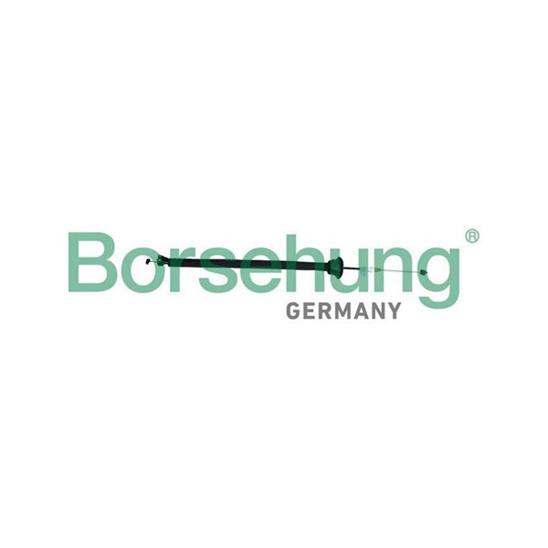 Dörrhandtagskontroll, Fram Borsehung B10791 Borsehung