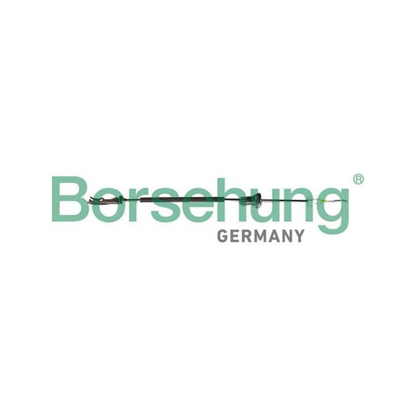 Dörrhandtagskontroll, Fram Borsehung B10794 Borsehung