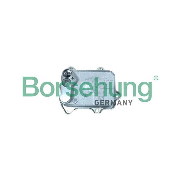 Oljekylare, motor Borsehung B10883 Borsehung