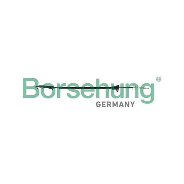 Dörrhandtagskontroll, Bak Borsehung B12338 Borsehung