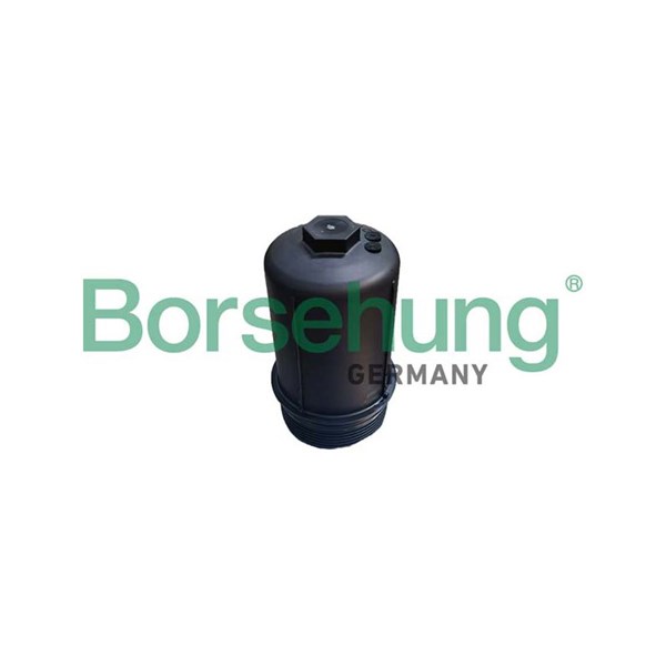 Filterhus, automatväxellåda Borsehung B12411 Borsehung