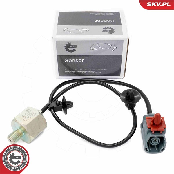 Knackningssensor Esen skv 17SKV849 ESEN SKV