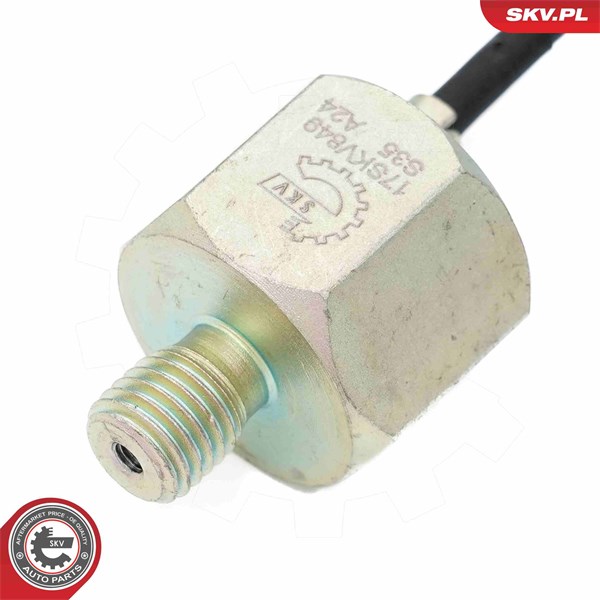 Knackningssensor Esen skv 17SKV849 ESEN SKV