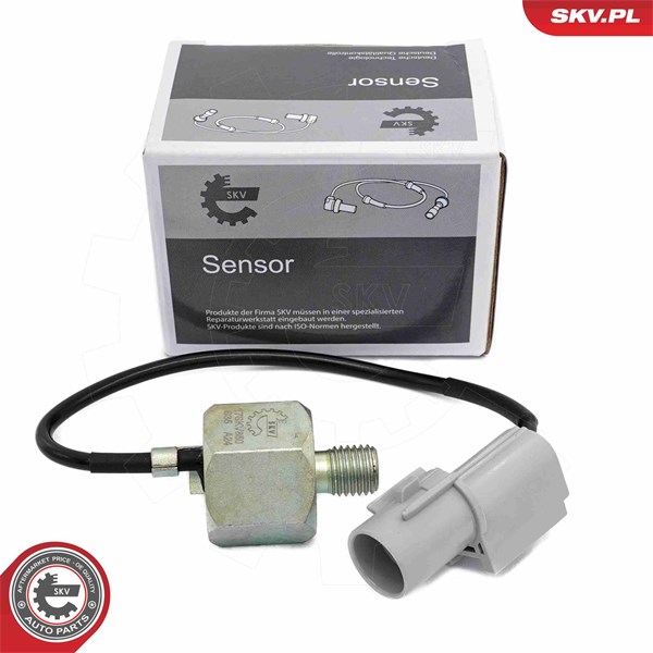 Knackningssensor Esen skv 17SKV850 ESEN SKV