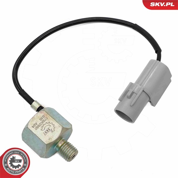 Knackningssensor Esen skv 17SKV850 ESEN SKV