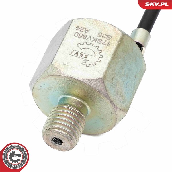 Knackningssensor Esen skv 17SKV850 ESEN SKV