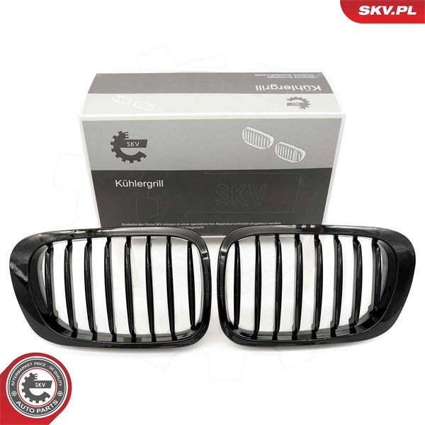 Kylargrill Esen skv 66SKV055 ESEN SKV