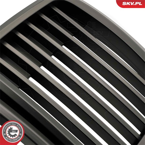 Kylargrill Esen skv 66SKV147 ESEN SKV