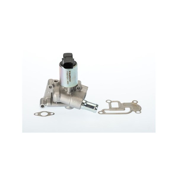 Egr-ventil Borgwarner (wahler) 710831D/1 BorgWarner (Wahler)
