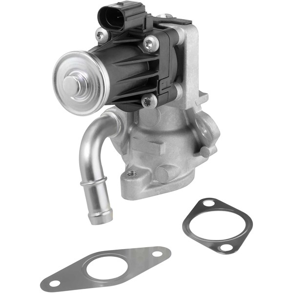 Egr-ventil Borgwarner (wahler) 712017D BorgWarner (Wahler)