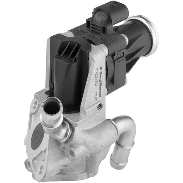 Egr-ventil Borgwarner (wahler) 712017D BorgWarner (Wahler) Egr-ventil Borgwarner (wahler) 712017D BorgWarner (Wahler)