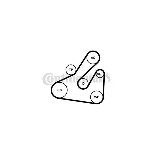 Vattenpump + spårremssats Contitech 5PK1745WP1 CONTITECH Vattenpump + spårremssats Contitech 5PK1745WP1 CONTITECH