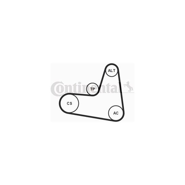 Drivremsats Contitech 6PK1120K2 CONTITECH