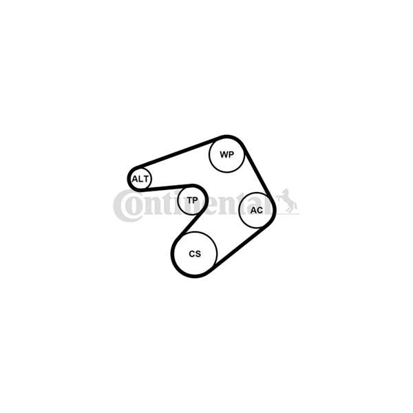 Vattenpump + spårremssats Contitech 6PK1205WP1 CONTITECH