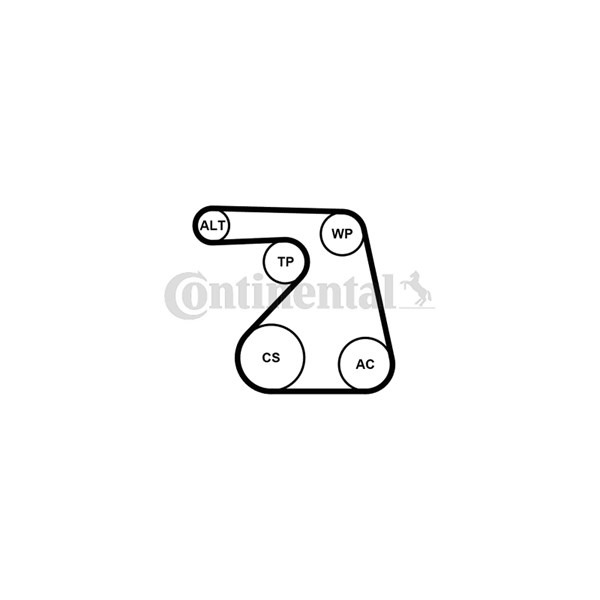 Vattenpump + spårremssats Contitech 6PK1217WP1 CONTITECH