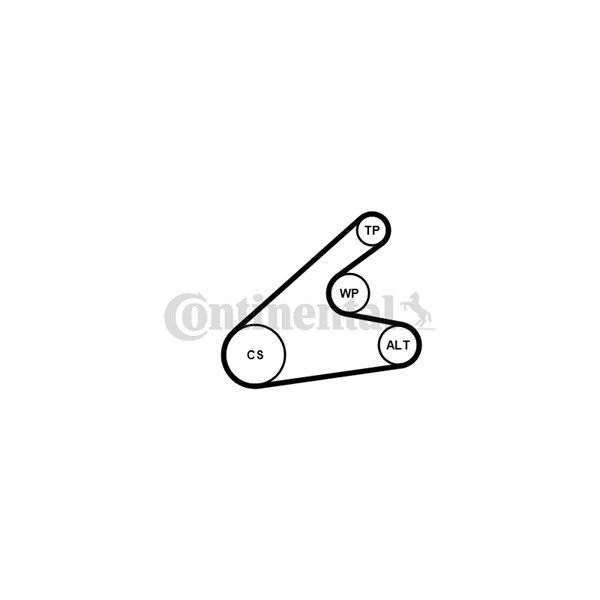 Vattenpump + spårremssats Contitech 6PK1306WP1 CONTITECH Vattenpump + spårremssats Contitech 6PK1306WP1 CONTITECH