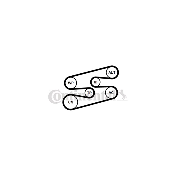 Drivremsats Contitech 6PK1780K2 CONTITECH