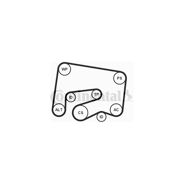 Drivremsats Contitech 6PK2000K1 CONTITECH Drivremsats Contitech 6PK2000K1 CONTITECH