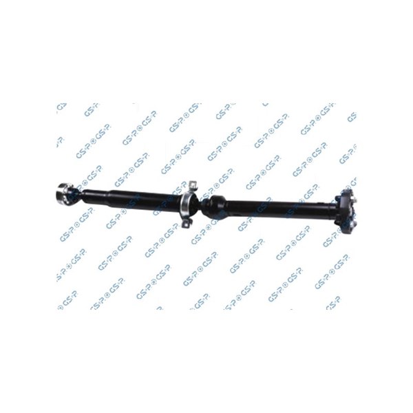 Kardan, Bak Gsp PS901570 GSP