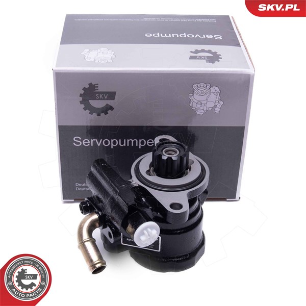 Servopump Esen skv 10SKV315 ESEN SKV