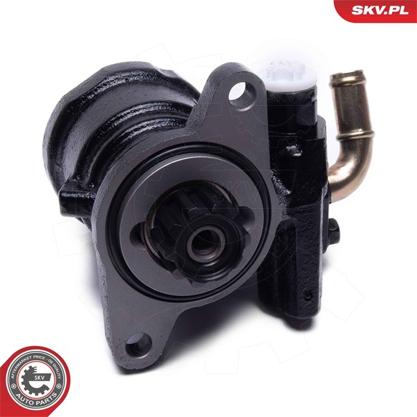 Servopump Esen skv 10SKV315 ESEN SKV Servopump Esen skv 10SKV315 ESEN SKV