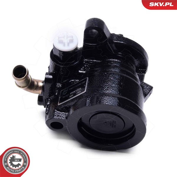 Servopump Esen skv 10SKV315 ESEN SKV Servopump Esen skv 10SKV315 ESEN SKV