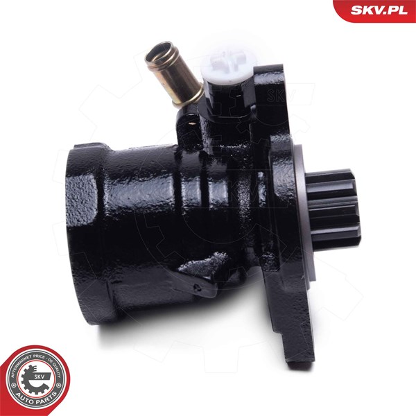 Servopump Esen skv 10SKV315 ESEN SKV Servopump Esen skv 10SKV315 ESEN SKV