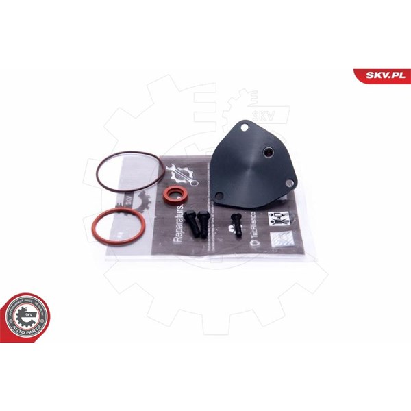 Rep.sats, vakumpump (bromsar) Esen skv 18SKV806 ESEN SKV