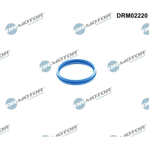 Packning, insug , grenrörshus Dr.motor automotive DRM02220 Dr.Motor Automotive
