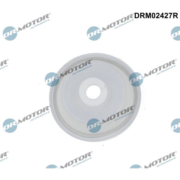 Reglerventil, luftintag Dr.motor automotive DRM02427R Dr.Motor Automotive