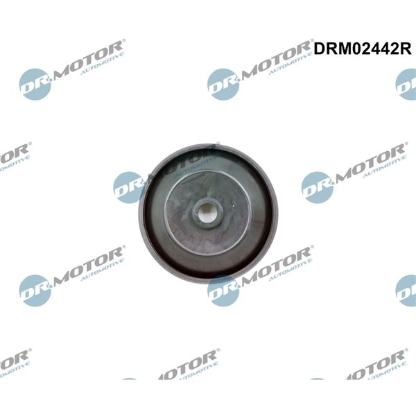 Reglerventil, luftintag Dr.motor automotive DRM02442R Dr.Motor Automotive