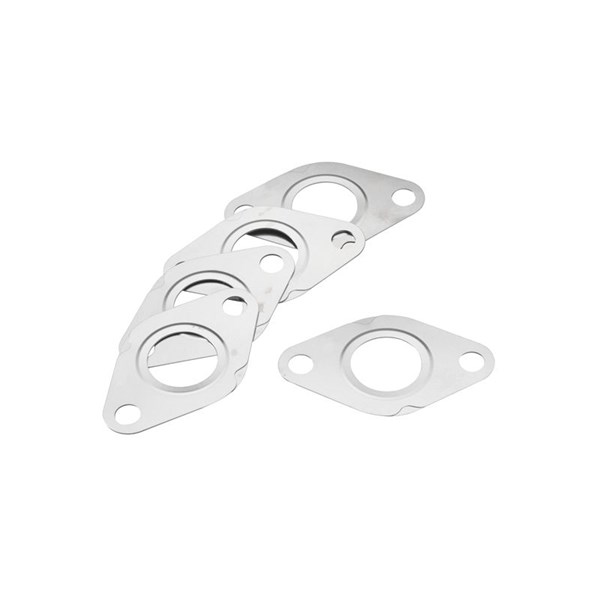 Packning EGR-ventil Borgwarner (wahler) 117385D5 BorgWarner (Wahler)