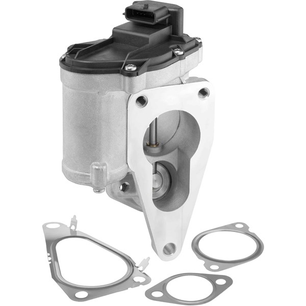 Egr-ventil Borgwarner (wahler) 712018D BorgWarner (Wahler)