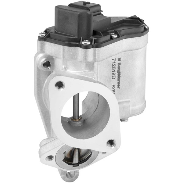 Egr-ventil Borgwarner (wahler) 712018D BorgWarner (Wahler)