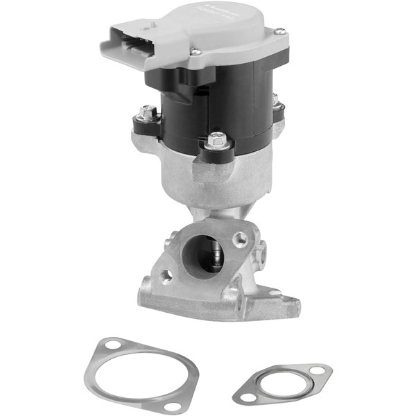 Egr-ventil, Fram, Bak, Höger Borgwarner (wahler) 712056D BorgWarner (Wahler)