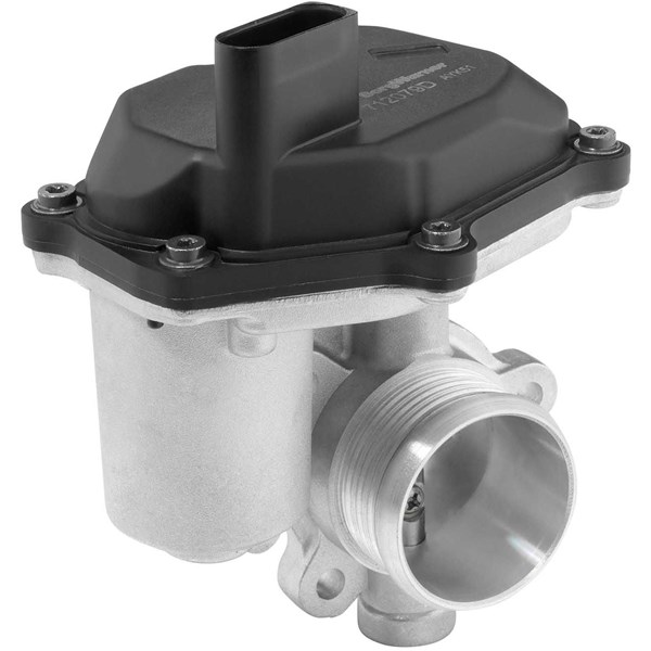 Egr-ventil Borgwarner (wahler) 712079D BorgWarner (Wahler)