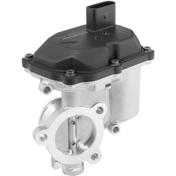 Egr-ventil Borgwarner (wahler) 712079D BorgWarner (Wahler)