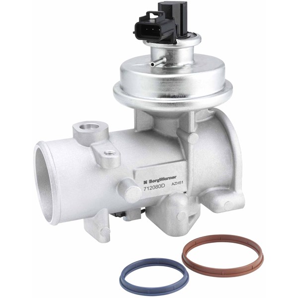 Egr-ventil Borgwarner (wahler) 712080D BorgWarner (Wahler)