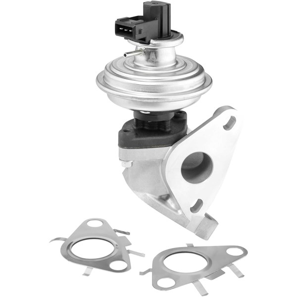 Egr-ventil Borgwarner (wahler) 712092D BorgWarner (Wahler)