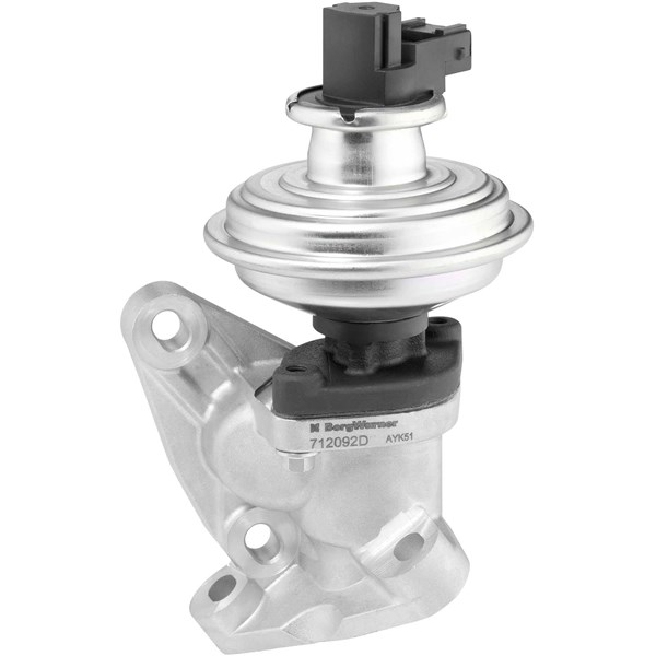 Egr-ventil Borgwarner (wahler) 712092D BorgWarner (Wahler)