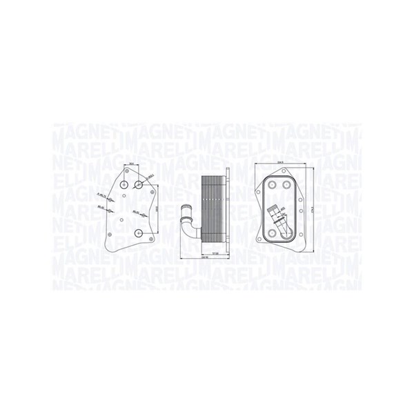 Oljekylare, motor Magneti marelli 350300002300 MAGNETI MARELLI