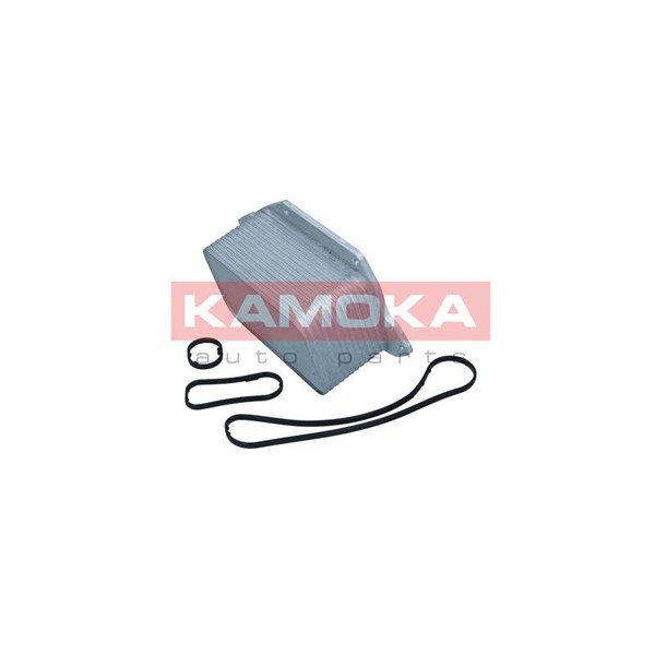 Oljekylare, motor