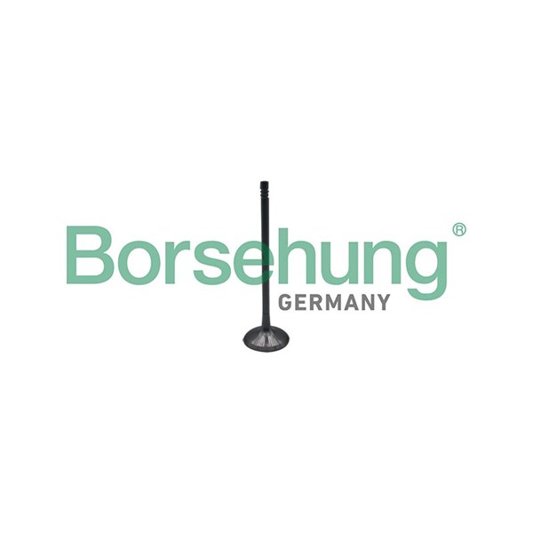 Insugsventil Borsehung B10323 Borsehung