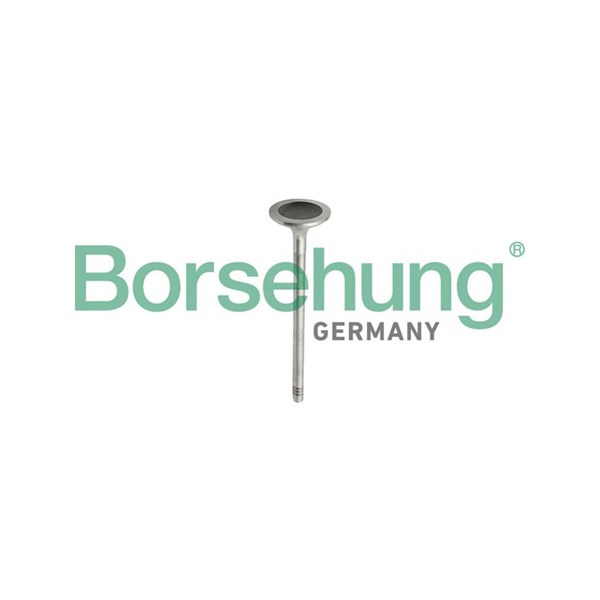 Kolvringar, kit Borsehung B10343 Borsehung