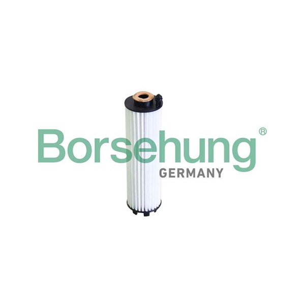 Oljefilter Borsehung B12289 Borsehung