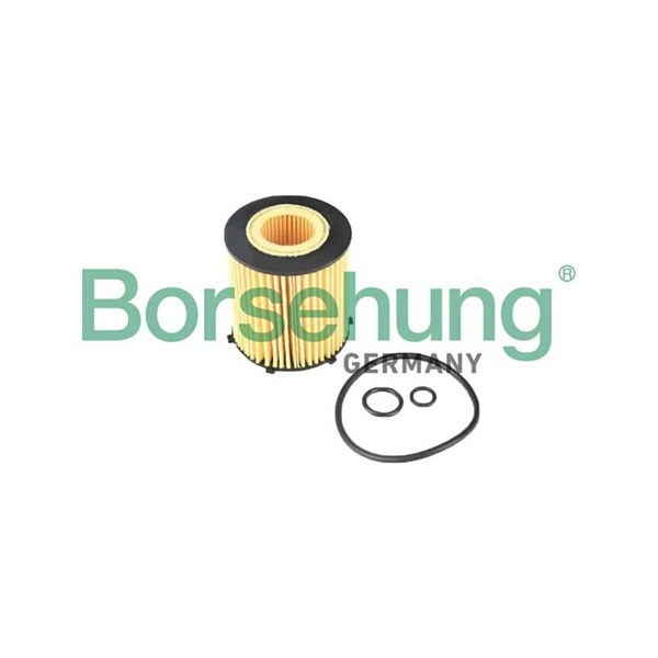 Oljefilter Borsehung B12405 Borsehung
